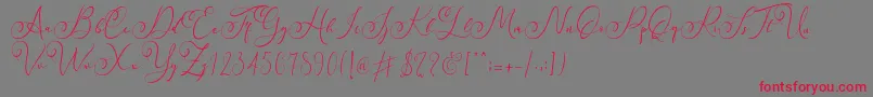 Faradilla   Regular   Font – Red Fonts on Gray Background