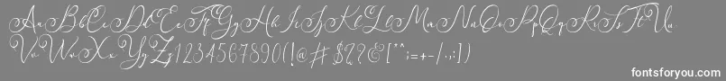 フォントFaradilla   Regular   – 灰色の背景に白い文字