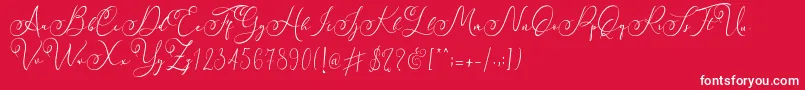 Faradilla   Regular   Font – White Fonts on Red Background
