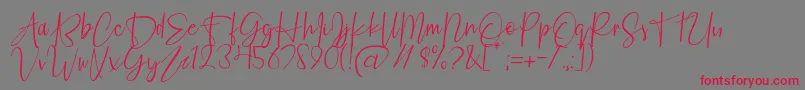 Fashion Script Personal Use Font – Red Fonts on Gray Background