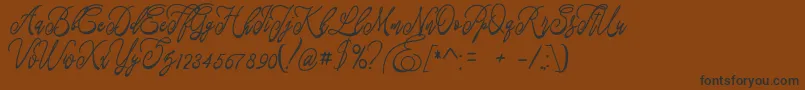 Weitere Informationen zur Fastter-Schriftart Fastter-Schriftart – Schwarze Schriften auf braunem Hintergrund