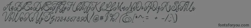 Fastter Font – Black Fonts on Gray Background