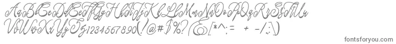 Weitere Informationen zur Fastter-Schriftart Fastter-Schriftart – Graue Schriften auf weißem Hintergrund