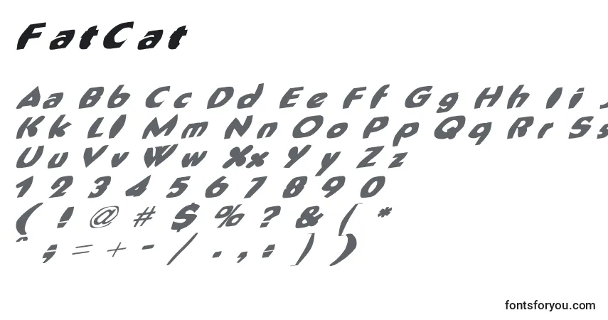 A fonte FatCat (126421) – alfabeto, números, caracteres especiais
