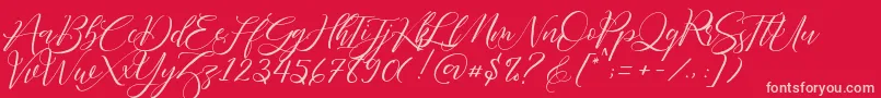 Fathir Script Personal Use Font – Pink Fonts on Red Background