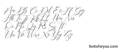Review of the Fathir Script Personal Use Font