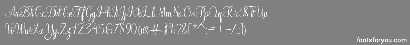 フォントFayalong – 灰色の背景に白い文字