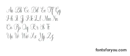Review of the Fayalong Font