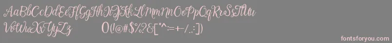 フォントCalista – 灰色の背景にピンクのフォント