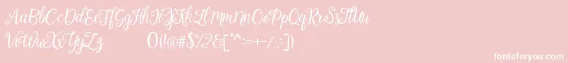 フォントCalista – ピンクの背景に白い文字