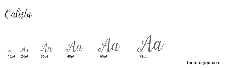 Calista Font Sizes