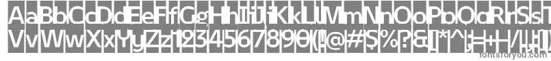February 2   Initials Personal use Font – Gray Fonts on White Background