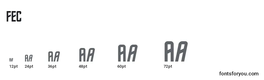 FEC      (126464) Font Sizes