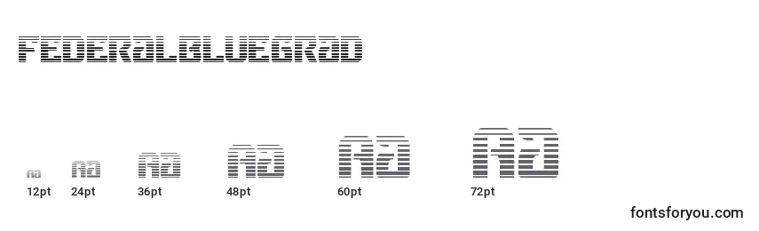 Federalbluegrad Font Sizes