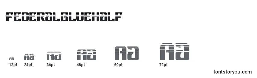 Federalbluehalf Font Sizes