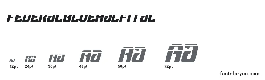 Federalbluehalfital Font Sizes