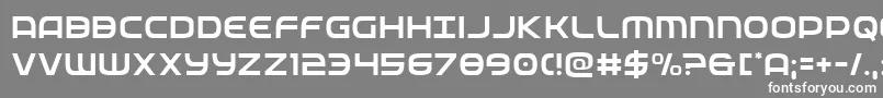 federalservicelight Font – White Fonts on Gray Background