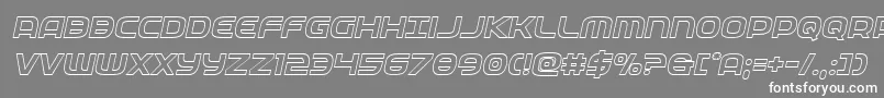 federalserviceoutital Font – White Fonts on Gray Background