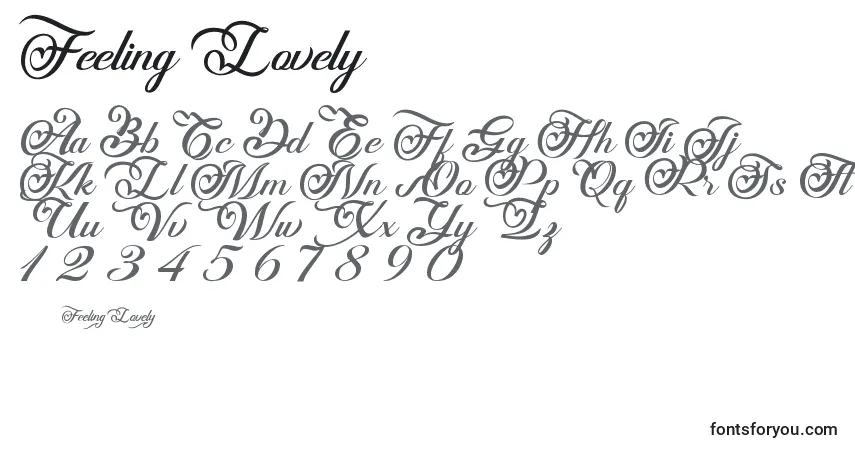 Schriftart Feeling Lovely – Alphabet, Zahlen, spezielle Symbole