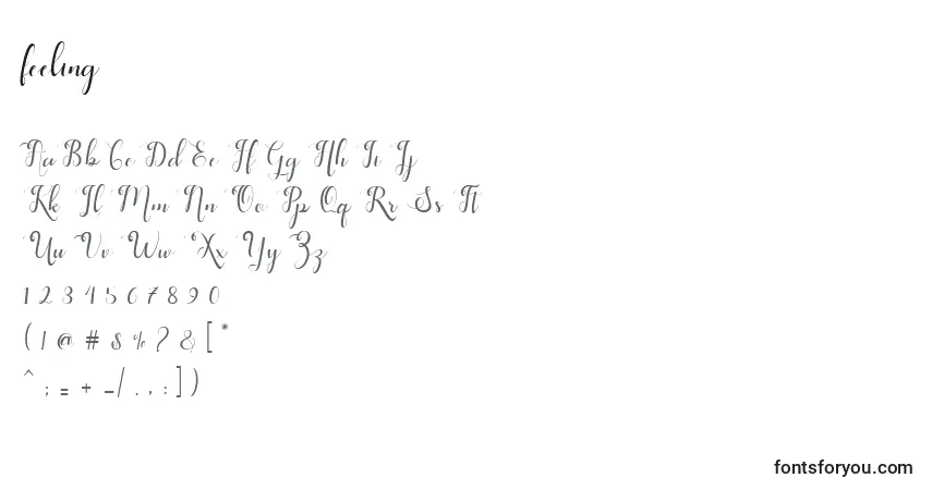 Schriftart Feeling (126564) – Alphabet, Zahlen, spezielle Symbole