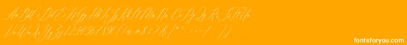 Weitere Informationen zur Feelsmooth-Schriftart Feelsmooth-Schriftart – Weiße Schriften auf orangefarbenem Hintergrund