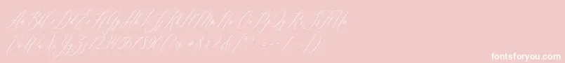 Feelsmooth Font – White Fonts on Pink Background