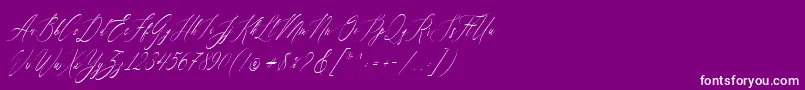 Feelsmooth Font – White Fonts on Purple Background