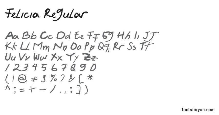 Schriftart Felicia Regular – Alphabet, Zahlen, spezielle Symbole