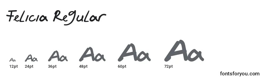 Felicia Regular Font Sizes