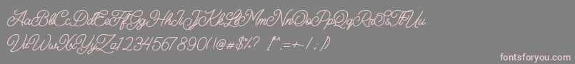 Felician Demo-Schriftart – Rosa Schriften auf grauem Hintergrund
