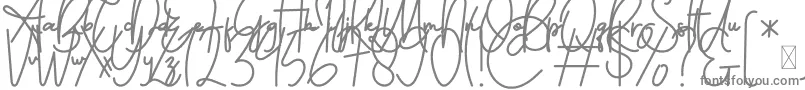 Czcionka FeliciaSignature Script – szare czcionki