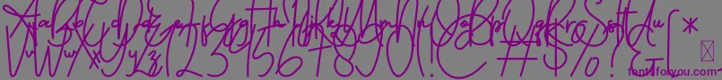 FeliciaSignature Script-Schriftart – Violette Schriften auf grauem Hintergrund