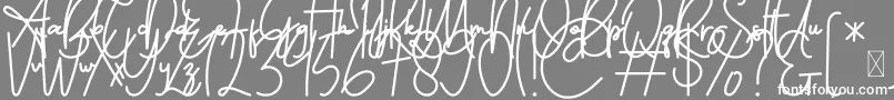 fuente FeliciaSignature Script – Fuentes Blancas Sobre Fondo Gris