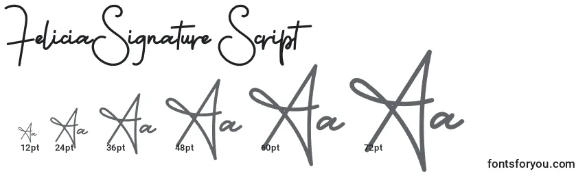 Größen der Schriftart FeliciaSignature Script