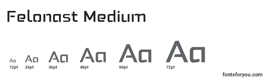 Размеры шрифта Felonast Medium