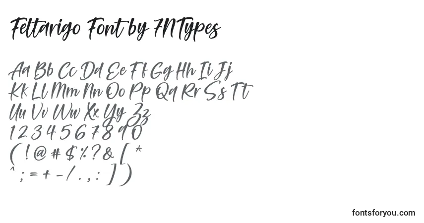 Шрифт Feltarigo Font by 7NTypes – алфавит, цифры, специальные символы