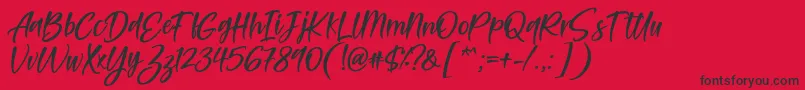 フォントFeltarigo Font by 7NTypes – 赤い背景に黒い文字
