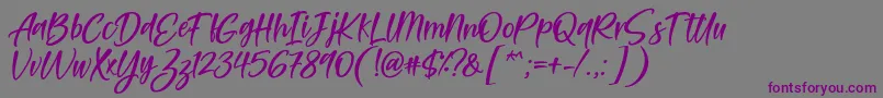 Feltarigo Font by 7NTypes Font – Purple Fonts on Gray Background