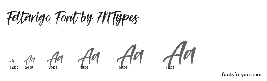 Размеры шрифта Feltarigo Font by 7NTypes