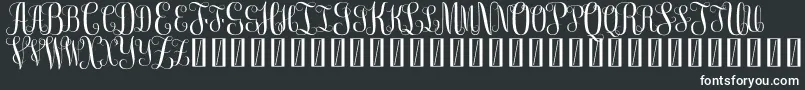 FreemonogramBeta0.5-Schriftart – Weiße Schriften