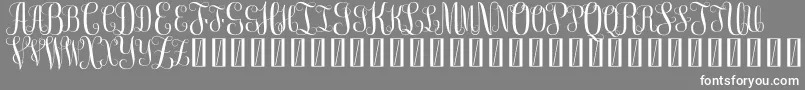 FreemonogramBeta0.5-Schriftart – Weiße Schriften auf grauem Hintergrund