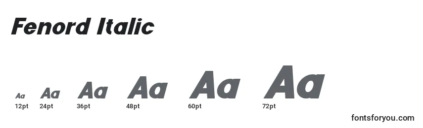 Größen der Schriftart Fenord Italic (126583)