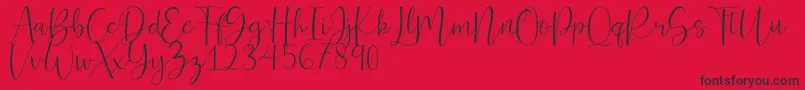 Ferinitta Font – Black Fonts on Red Background