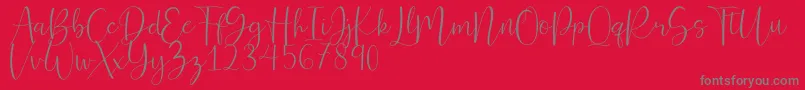 Ferinitta Font – Gray Fonts on Red Background