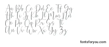 Review of the Ferinitta Font