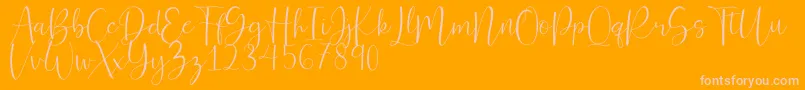 Ferinitta Font – Pink Fonts on Orange Background