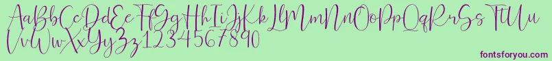 Ferinitta Font – Purple Fonts on Green Background