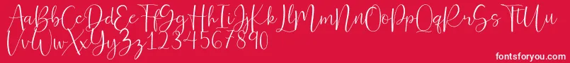Ferinitta Font – White Fonts on Red Background