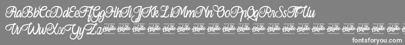 Ferishley Sunshine Font – White Fonts on Gray Background