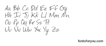 Обзор шрифта Festus
